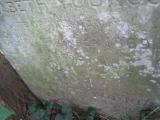image of grave number 443857